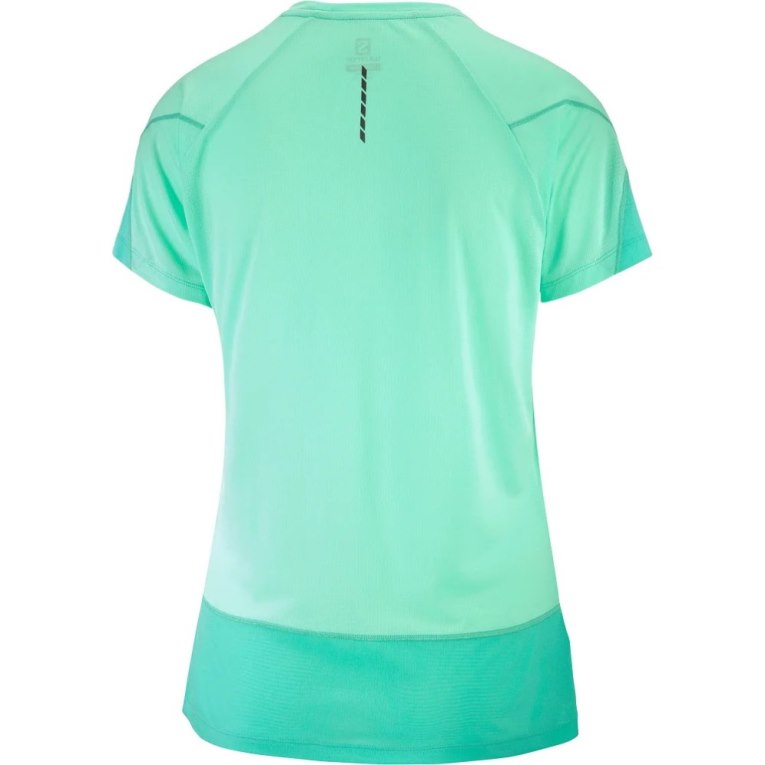 Turquoise Salomon Cross Run Short Sleeve Women's T-Shirts | PH 05792W